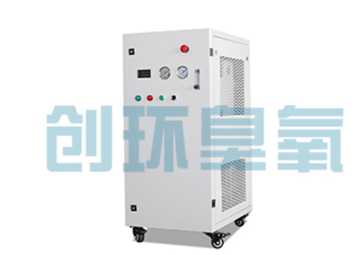 来宾石斑鱼养殖水质调控完整指南：臭氧发生器配置与操作步骤