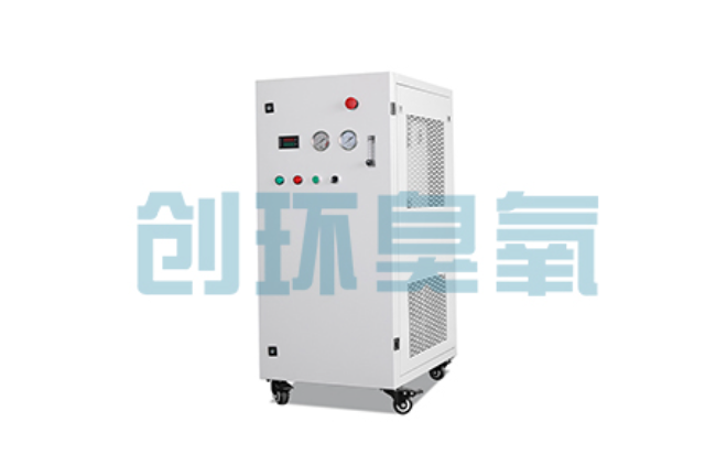 来宾比传统换水更高效？臭氧发生器在石斑鱼养殖中的水质净化原理解析